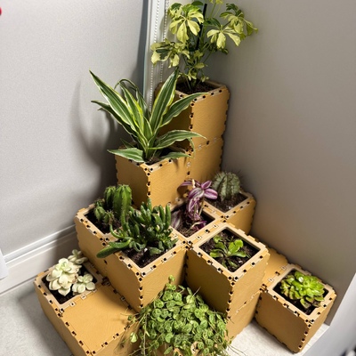 Mini Gardens - Gallery